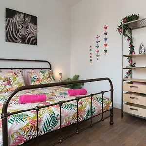 Homestay Stir It Up Studio, Amsterdam
